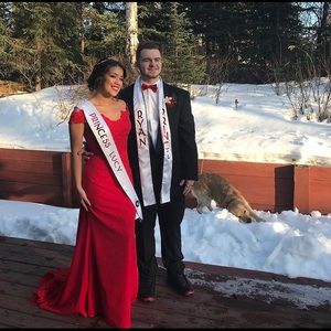 Meet your Posher, Lucy